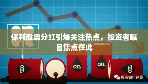 保利股票分紅引爆關(guān)注熱點(diǎn)，投資者矚目焦點(diǎn)在此