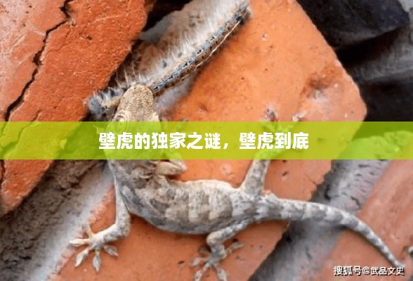 解決方案 第9頁(yè)
