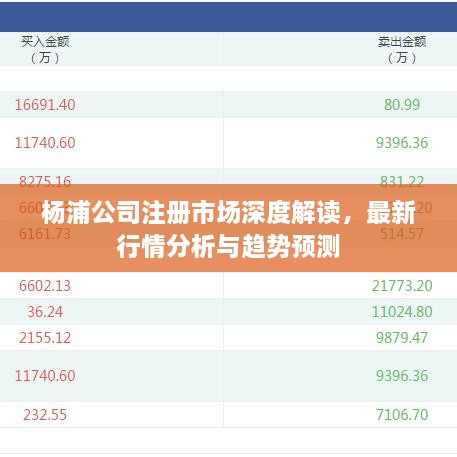 楊浦公司注冊市場(chǎng)深度解讀，最新行情分析與趨勢預測