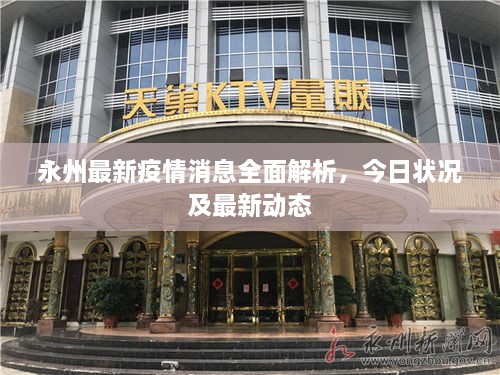 永州最新疫情消息全面解析，今日狀況及最新動(dòng)態(tài)