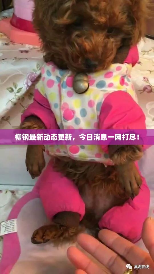 解決方案 第8頁(yè)