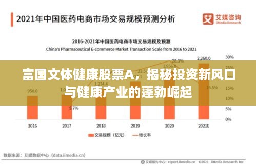 富國文體健康股票A，揭秘投資新風(fēng)口與健康產(chǎn)業(yè)的蓬勃崛起