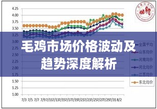 毛雞市場(chǎng)價(jià)格波動(dòng)及趨勢深度解析