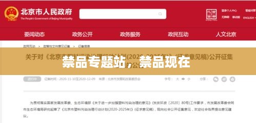 禁品專(zhuān)題站，禁品現在 