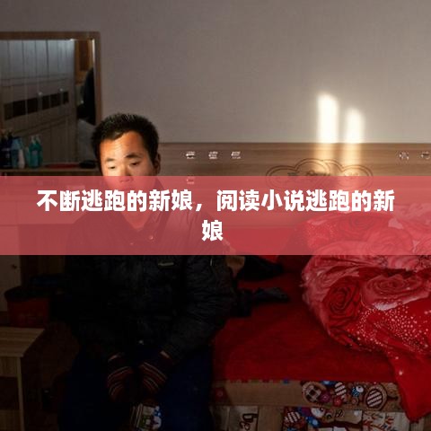 不斷逃跑的新娘，閱讀小說(shuō)逃跑的新娘 