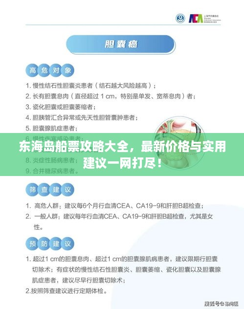 東海島船票攻略大全，最新價(jià)格與實(shí)用建議一網(wǎng)打盡！