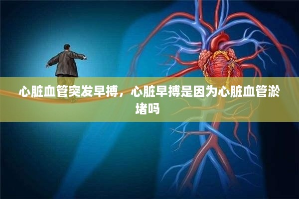 心臟血管突發(fā)早搏，心臟早搏是因為心臟血管淤堵嗎 