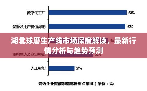湖北球磨生產(chǎn)線(xiàn)市場(chǎng)深度解讀，最新行情分析與趨勢預測