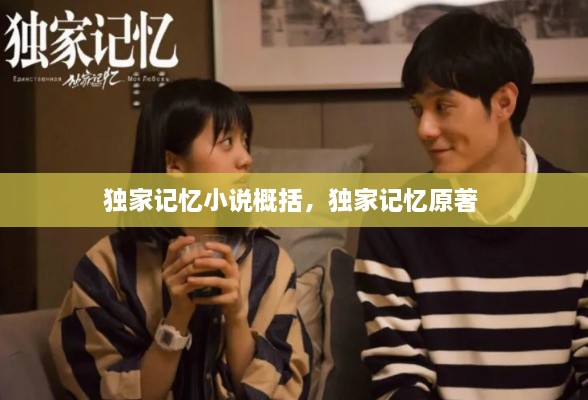 獨家記憶小說(shuō)概括，獨家記憶原著(zhù) 