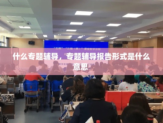 什么專(zhuān)題輔導，專(zhuān)題輔導報告形式是什么意思 