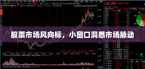 股票市場(chǎng)風(fēng)向標，小窗口洞悉市場(chǎng)脈動(dòng)