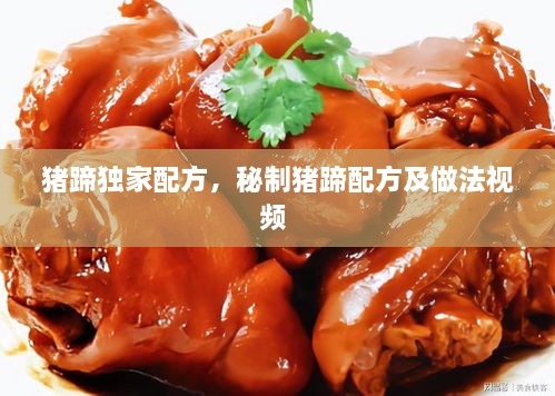 豬蹄獨家配方，秘制豬蹄配方及做法視頻 