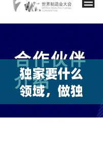 獨家要什么領(lǐng)域，做獨家代理有什么要求 