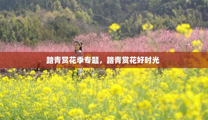 踏青賞花季專(zhuān)題，踏青賞花好時(shí)光 