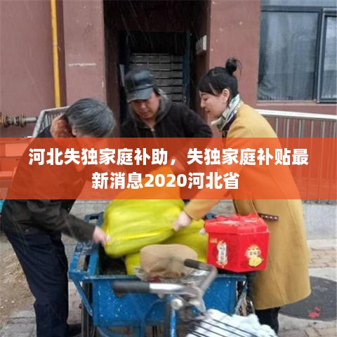 河北失獨家庭補助，失獨家庭補貼最新消息2020河北省 