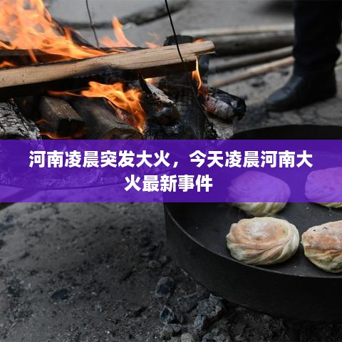 河南凌晨突發(fā)大火，今天凌晨河南大火最新事件 