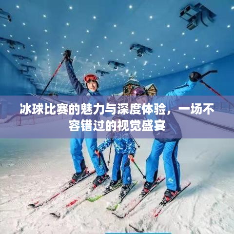 冰球比賽的魅力與深度體驗，一場(chǎng)不容錯過(guò)的視覺(jué)盛宴