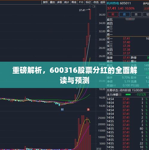 重磅解析，600316股票分紅的全面解讀與預測