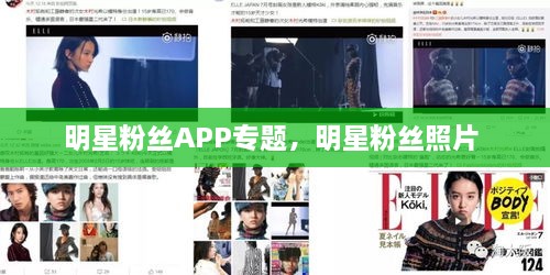 明星粉絲APP專(zhuān)題，明星粉絲照片 