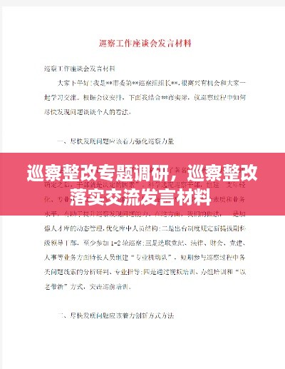 巡察整改專(zhuān)題調研，巡察整改落實(shí)交流發(fā)言材料 