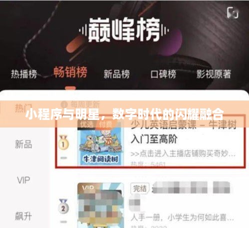 小程序與明星，數字時(shí)代的閃耀融合