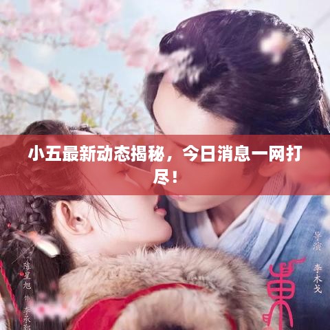 小五最新動(dòng)態(tài)揭秘，今日消息一網(wǎng)打盡！