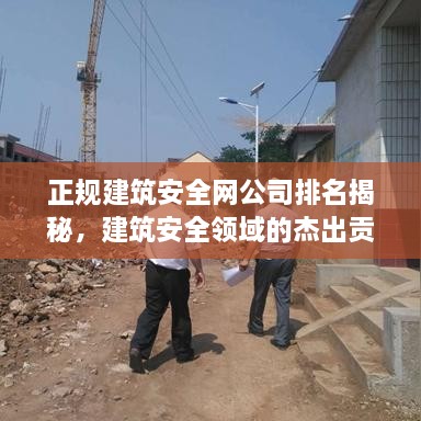 正規建筑安全網(wǎng)公司排名揭秘，建筑安全領(lǐng)域的杰出貢獻者