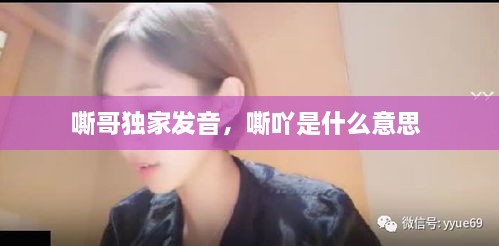 嘶哥獨家發(fā)音，嘶吖是什么意思 
