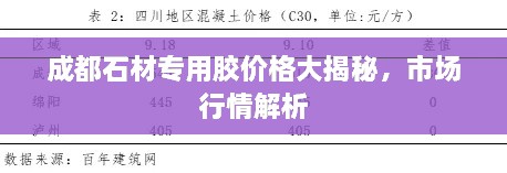成都石材專(zhuān)用膠價(jià)格大揭秘，市場(chǎng)行情解析
