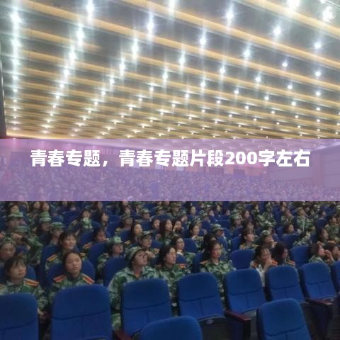 青春專(zhuān)題，青春專(zhuān)題片段200字左右 