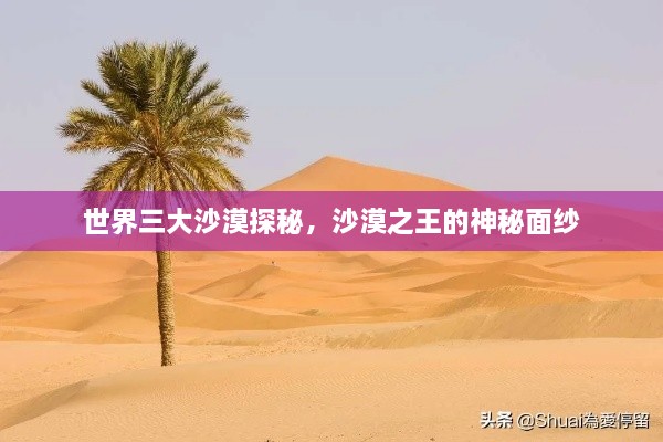 世界三大沙漠探秘，沙漠之王的神秘面紗