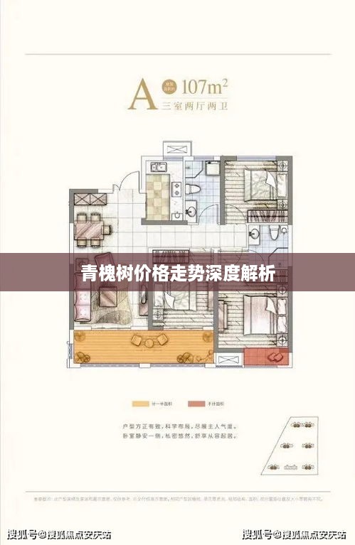 青槐樹(shù)價(jià)格走勢深度解析