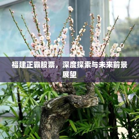 福建正霸股票，深度探索與未來(lái)前景展望