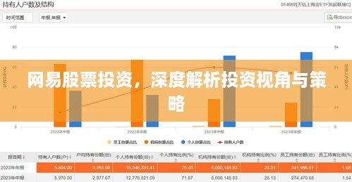 網(wǎng)易股票投資，深度解析投資視角與策略
